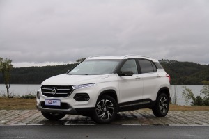 宝骏510前45度（车头向左）