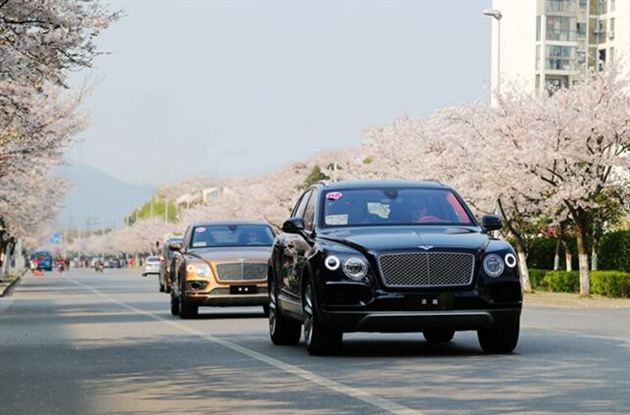 【图文】添缤纷樱姿 越湖光山色 宾利添越试驾