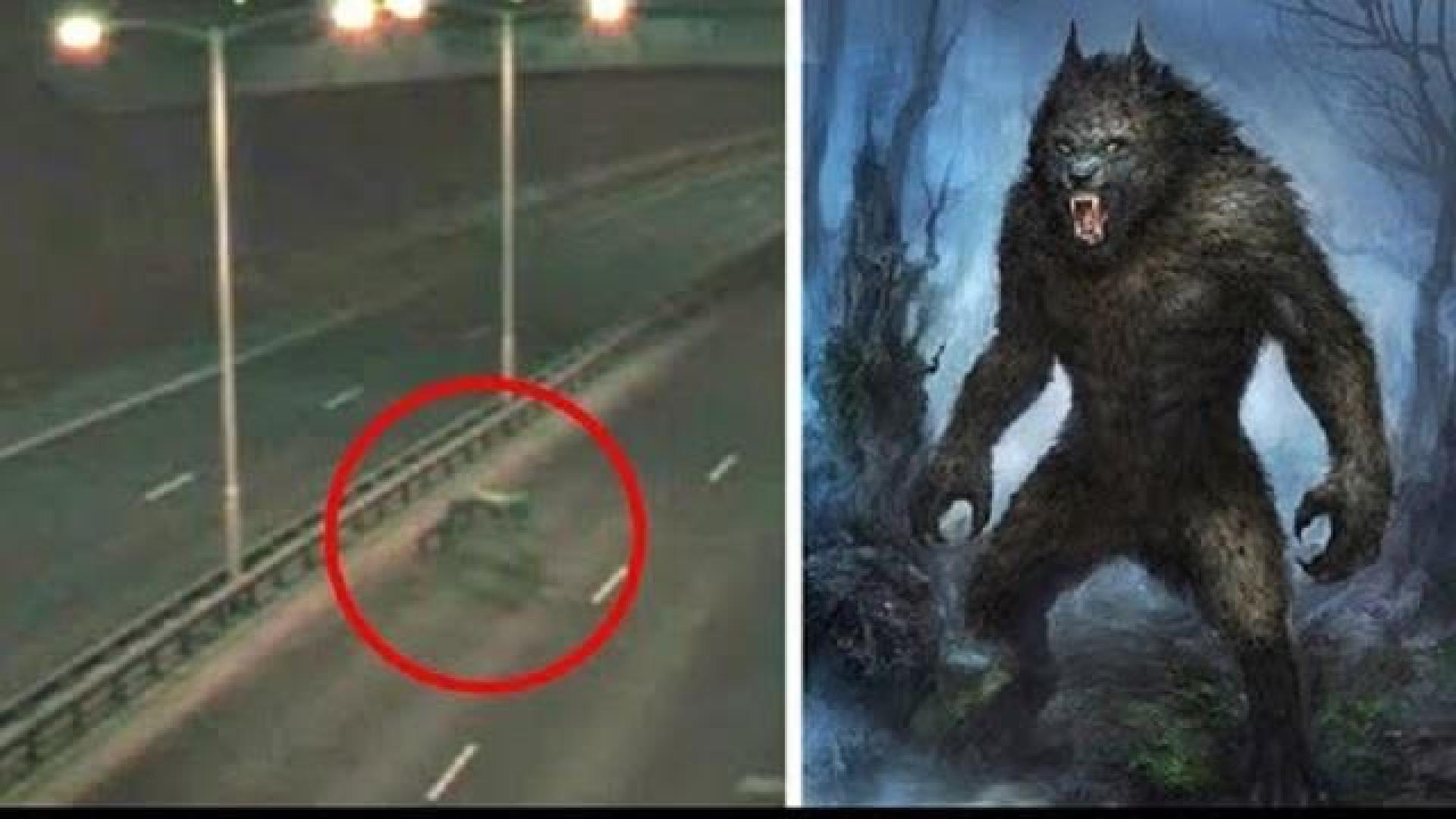 恐怖的「狼人」横越公路?英监视器拍到不明生物