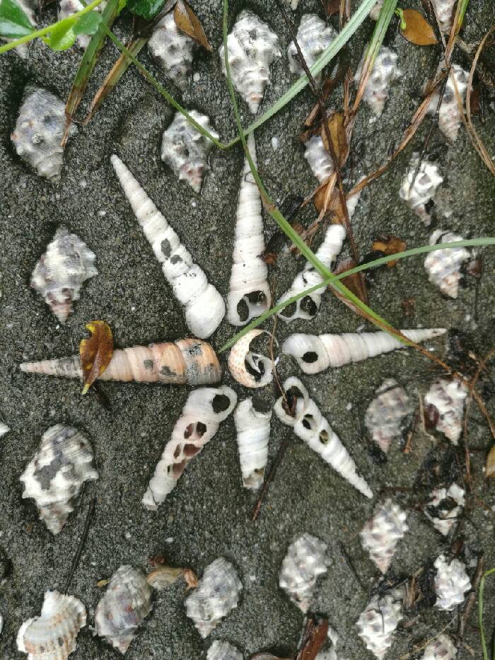 【下川岛看海,吃喝拉撒睡,带孩子真累】_湖南