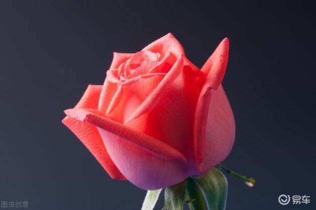 药车是什么意思汽车轮胎的一些秘密？你们了解多少？修理工毫无保留告诉你_https://www.jmylbn.com_新闻资讯_第25张