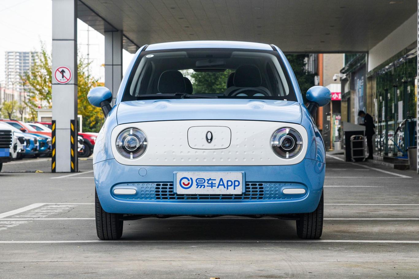 欧拉黑猫301km 萌宠版 磷酸铁锂外观