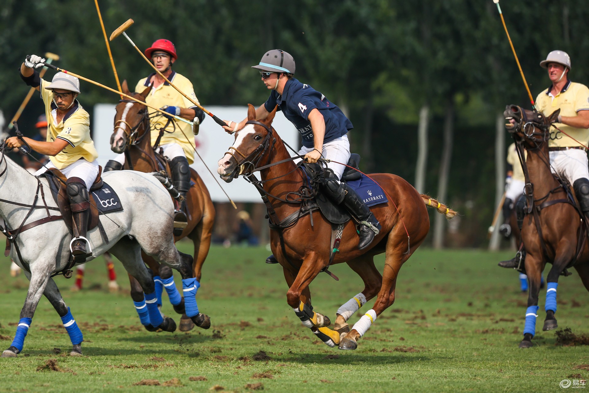 马球赛事 | 最强阵容助阵荣耀之战!