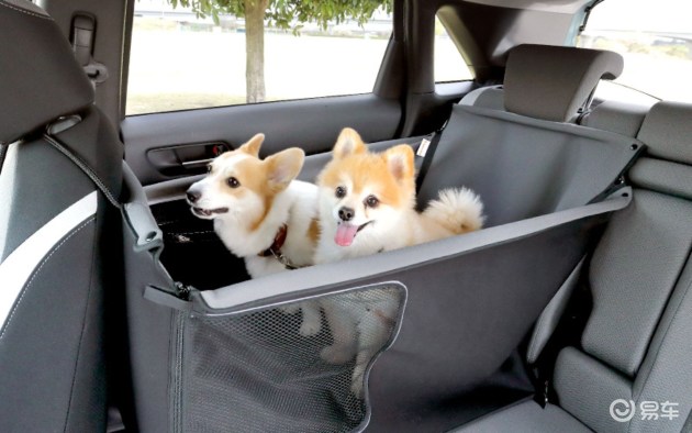 爱犬车主专属本田推出飞度狗狗主题装饰 易车