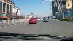 怎么选车牌号才是正确的 2583fcde9bd9d0ee-0.jpg