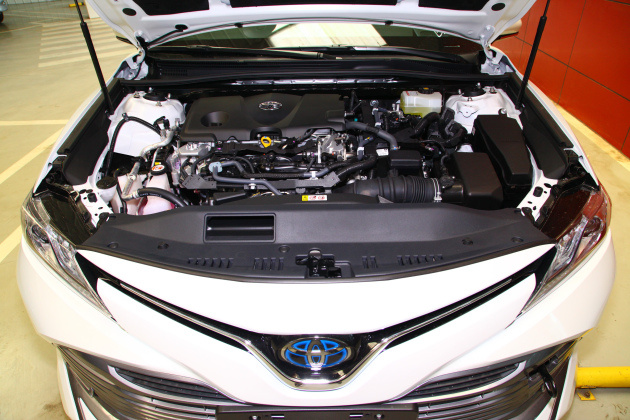 cf20db46-0063-4001-88a1-233dd2732892.jpg